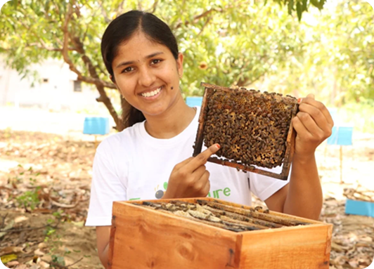 Beekeeping Background